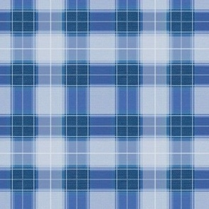 Plaid Gingham Mashup in Blueberry