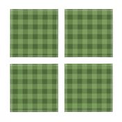 Green Gingham