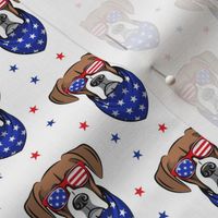 (small scale) patriotic boxer on white with stars