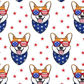 patriotic corgi 