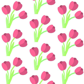 tulips - pink