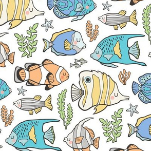 Tropical Fish on White