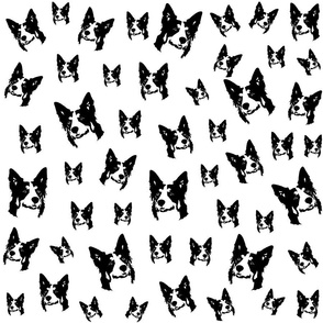 Border Collie black white fabric 