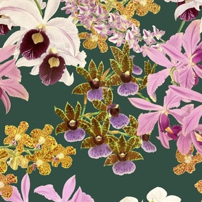 Botanist's Orchids on Dark Green 150