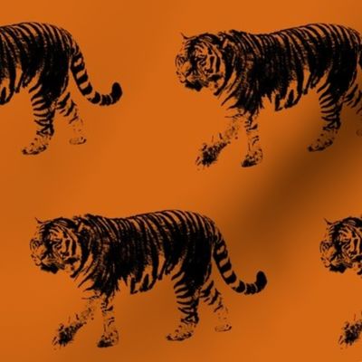 Tiger Prowl - Orange // Large