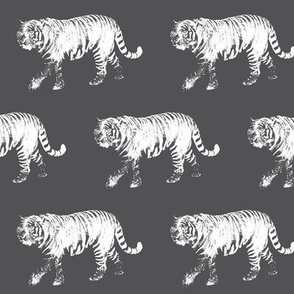 Tiger Prowl on Charcoal // Medium