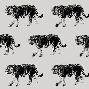 Tiger Prowl // Light Grey // Medium