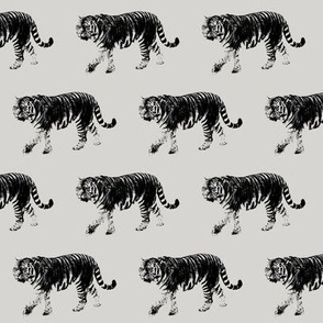 Tiger Prowl // Light Grey // Small
