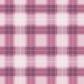 Plaid Gingham Mashup in Red Plum