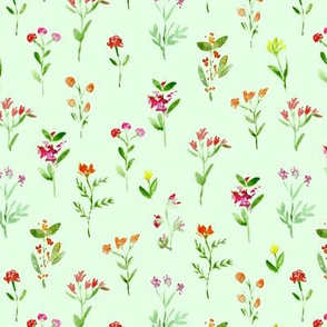 Meadow flowers on green  || watercolor floral pattern