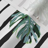 21" Tropical Safari Mix & Match - Black Stripes