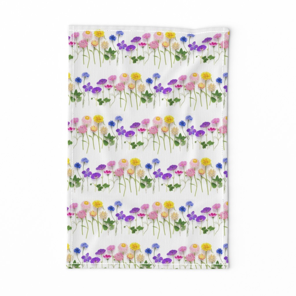 Rainbow of summer flowers stripe