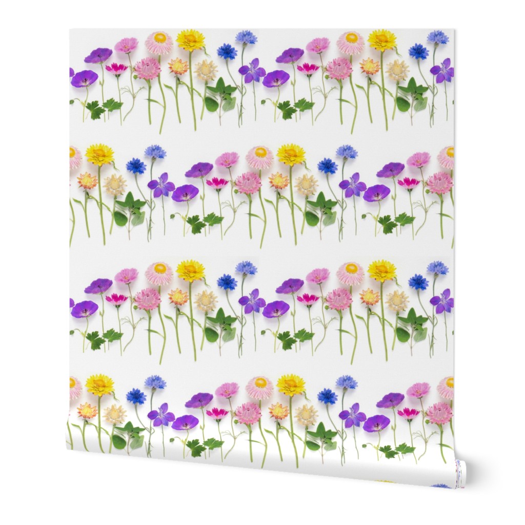 Rainbow of summer flowers stripe