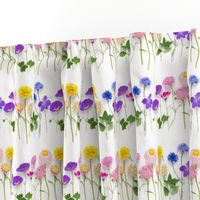 Rainbow of summer flowers stripe