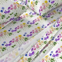 Rainbow of summer flowers stripe