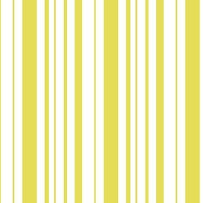 meadowlark stripes 