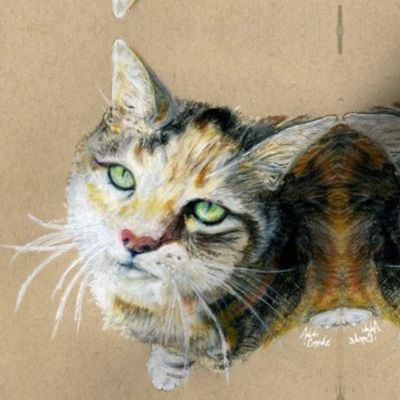 Cat Portrait Suzie