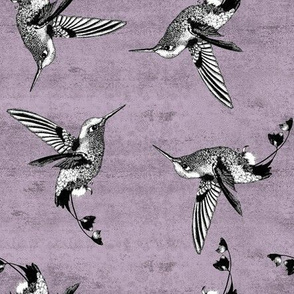 Hummingbirds on Distressed Pink 