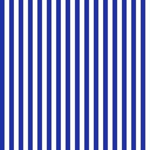 Bengal Stripe Chinese Blue