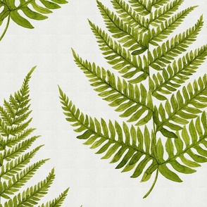 Watercolor Fern Pattern on Gray Background