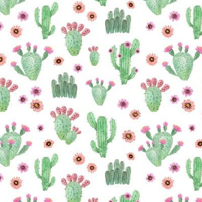 cute cacti