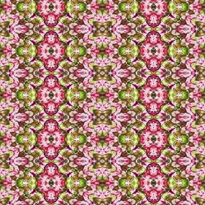 Paisley in Rose Red & Olive Green