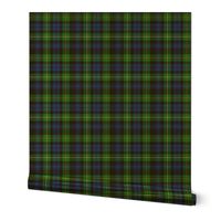 Campbell of Argyll 1815 tartan, 6"