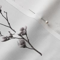 Small Magnolias
