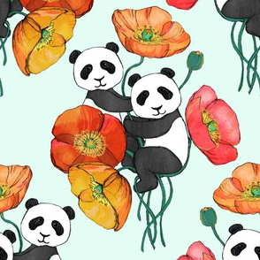 Poppies and Pandas on Mint