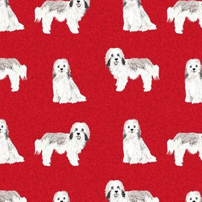 havanese dog fabric pet quilt a cheater quilt collection coordinate