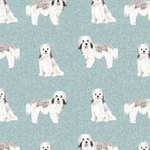 havanese dog fabric pet quilt b cheater quilt collection coordinate
