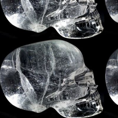 2 side profile view crystal skulls human aztec maya ancient  pre-Columbian Mesoamerican quartz antiques aliens paranormal gothic supernatural new age  morbid bizarre halloween horror scary macabre  
