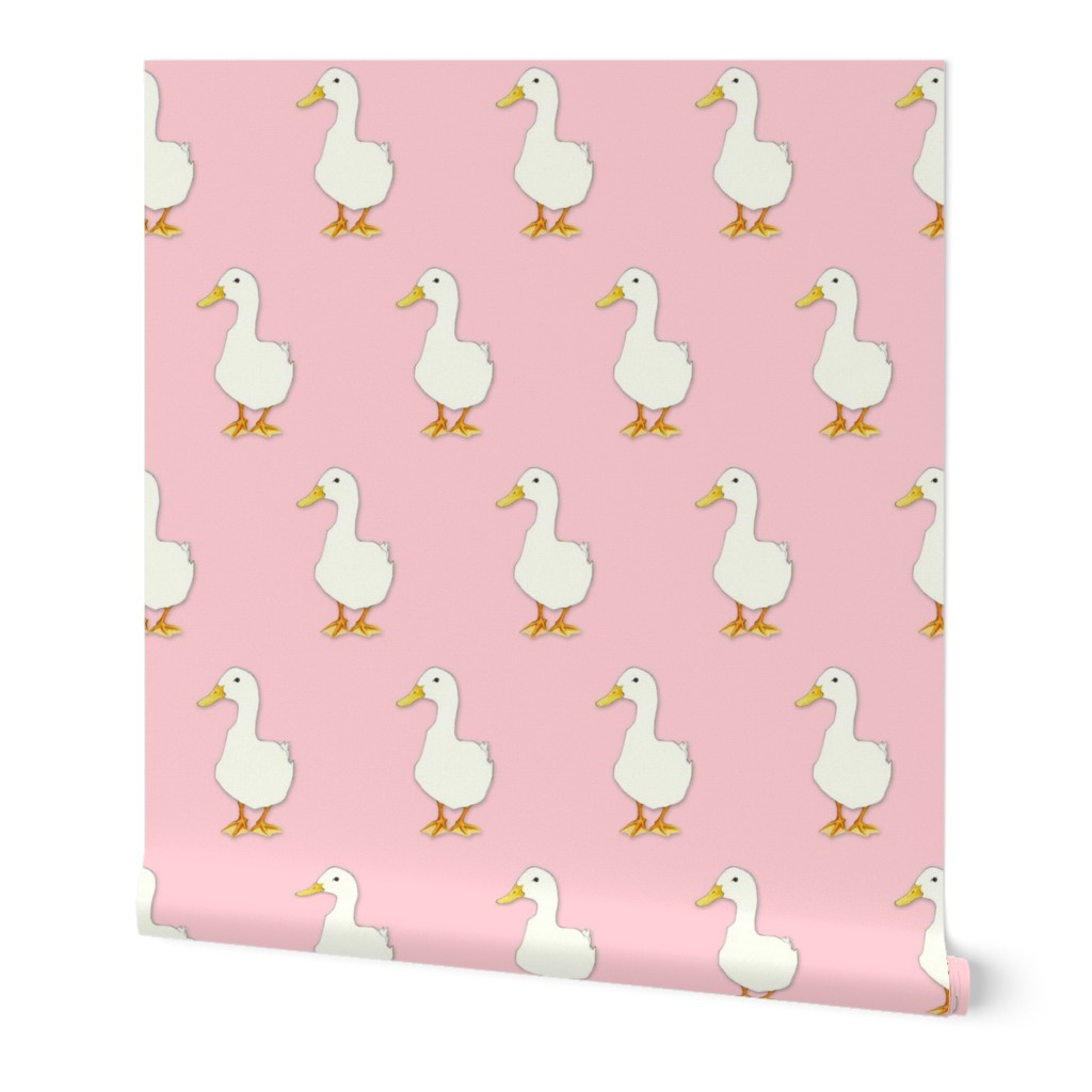 Duck Cool on pale pink