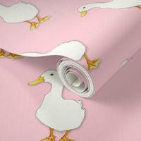Duck Cool on pale pink