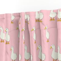 Duck Cool on pale pink