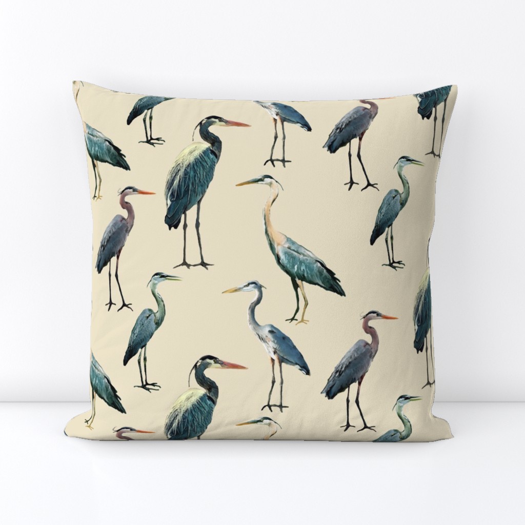 Blue Herons on Tan