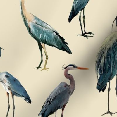 Blue Herons on Tan