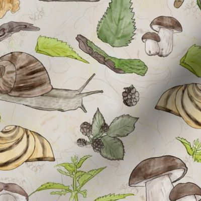 Woodland Garden Snails in Mushroom Funghi Forest amongst the Nettles , Mossy Logs & Blackberry Leaves