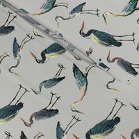 Blue Herons on Light Gray