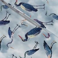 Blue Herons on Blue