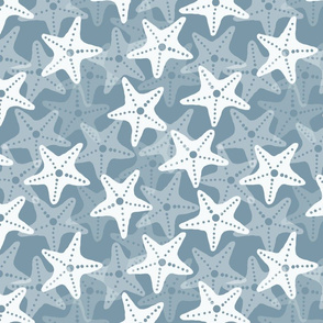 White Starfish on Blue