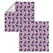 great dane black coffee dog breed fabric purple