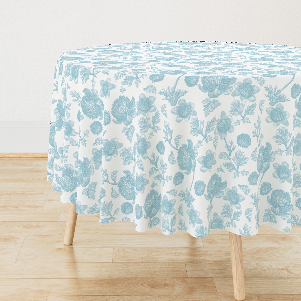 Edda Toile aqua 1