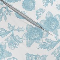 Edda Toile aqua 1