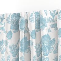 Edda Toile aqua 1