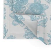 Edda Toile aqua 1