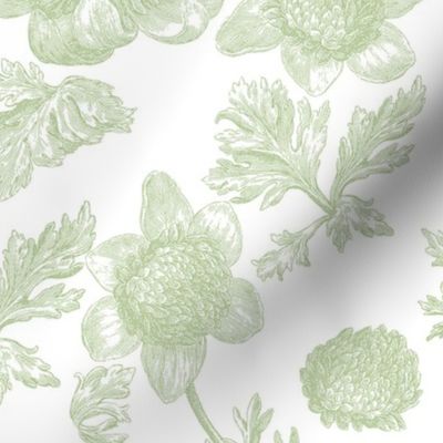 Edda Toile basil 1