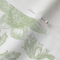 Edda Toile basil 1