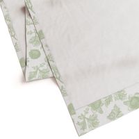 Edda Toile basil 1