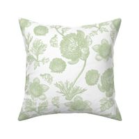 Edda Toile basil 1